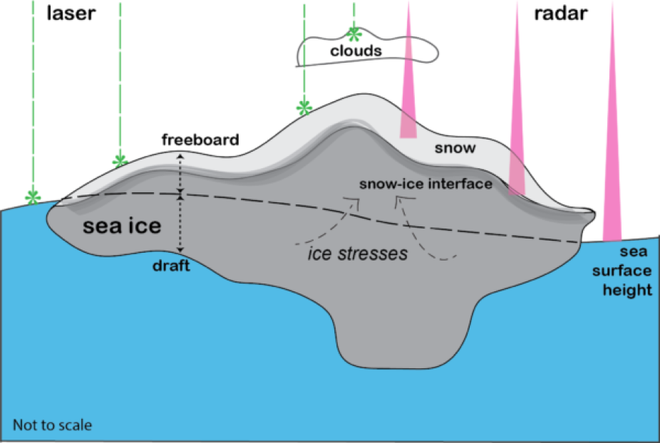 Figure 2: A simplified schematic of sea ice and how we measure sea ice thickness from space using either radar or laser altimetry of sea ice freeboard. Some of the key areas of complexity involved in this approach are highlighted. The sea ice floe depicted is not to scale. Sea ice is generally much thinner/broken up and spread out than depicted here!
