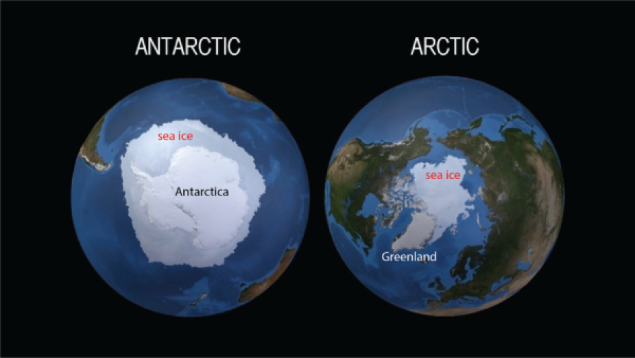 Figure 1: Maps of the Antarctic (left) and Arctic (right) including the floating sea ice component of our cryosphere. Adapted from a NASA SVS image.