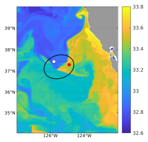 Sea surface salinity from the MITgcm llc4320 model simulation (courtesy of Dimitris Menemenlis) with an example satellite footprint shown as a black ellipse. Argo floats sampling at the location of the white or red dots would have very different salinities, neither of which would represent the salinity measured by the satellite.
